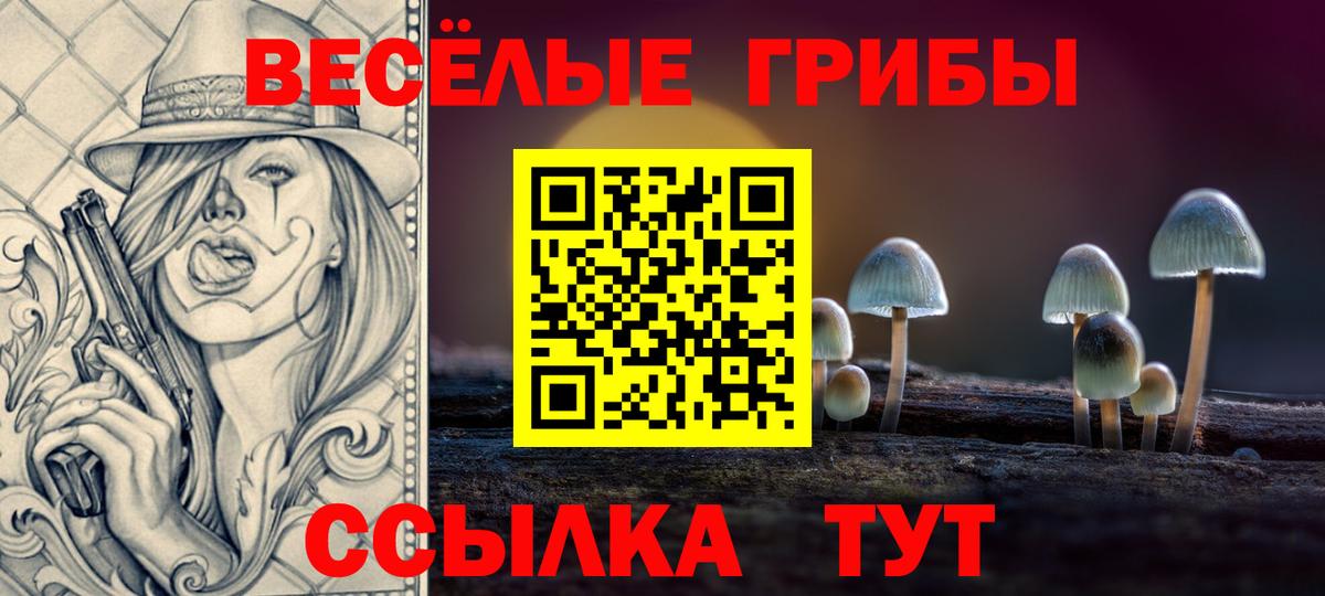 Псилоцибиновые грибы MAGIC MUSHROOMS Кизилюрт