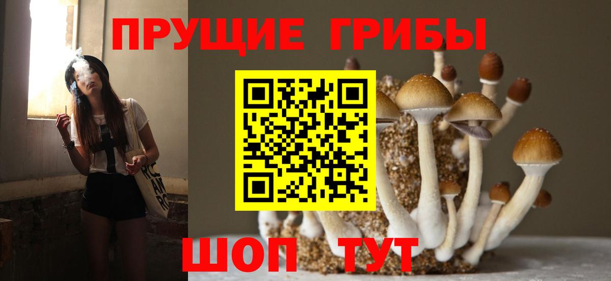 Псилоцибиновые грибы ЛСД  Вход с VPN  Псилоцибиновые грибы Cubensis  Кизилюрт 